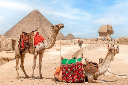 Service image for Cairo Over Dag: Giza Pyramides, Sphinx & Nationaal Museum (met optionele Nijl felucca)