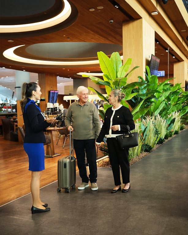 Service image for 终极接待及转机及电子SIM卡套餐 1人