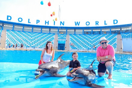 Service image for Dolfijnenshow — Makadi Bay