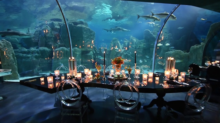 Billet pour l'Aquarium d'Istanbul et Service de Navette