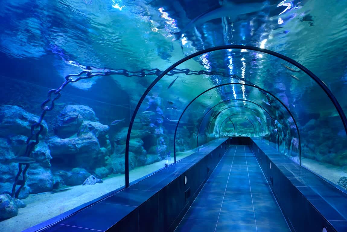 Parque temático y acuario Viaport Marina
