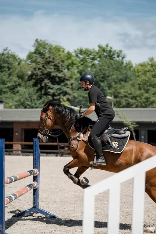 Güneş Equestrian Club Стамбул | Опыт верховой езды - 1