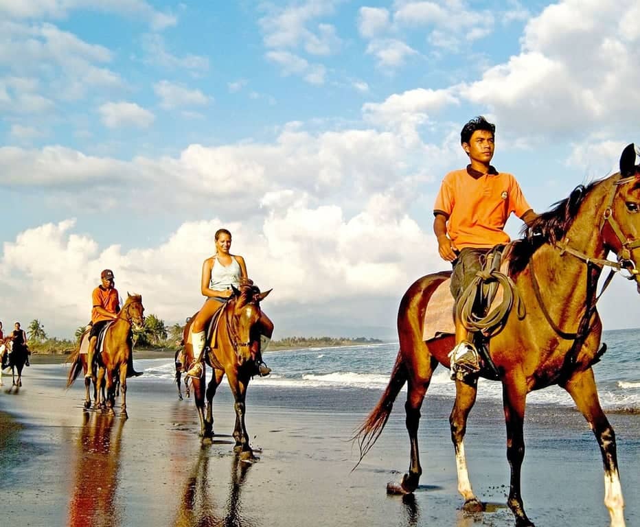 Antalya Horse Safari Experience