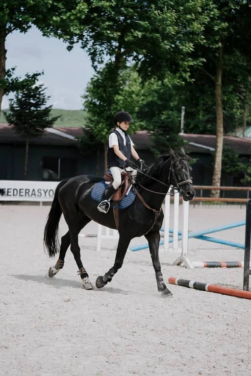 Güneş Equestrian Club Стамбул | Опыт верховой езды - 3
