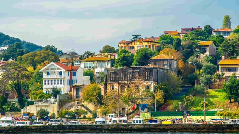 Excursion aux îles des Princes depuis Istanbul : excursion en ferry d'une journée avec déjeuner