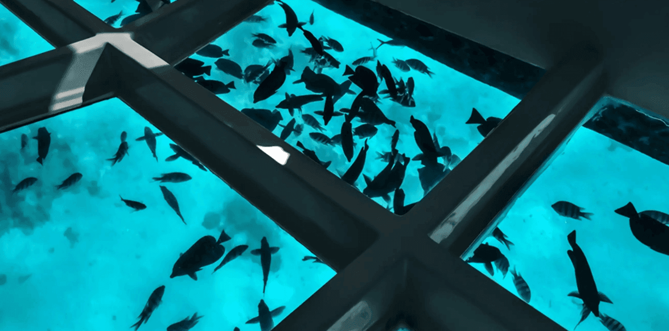 Sharm El Sheikh'te Cam Bot Turu - 1 Saatlik Kızıldeniz Deneyimi