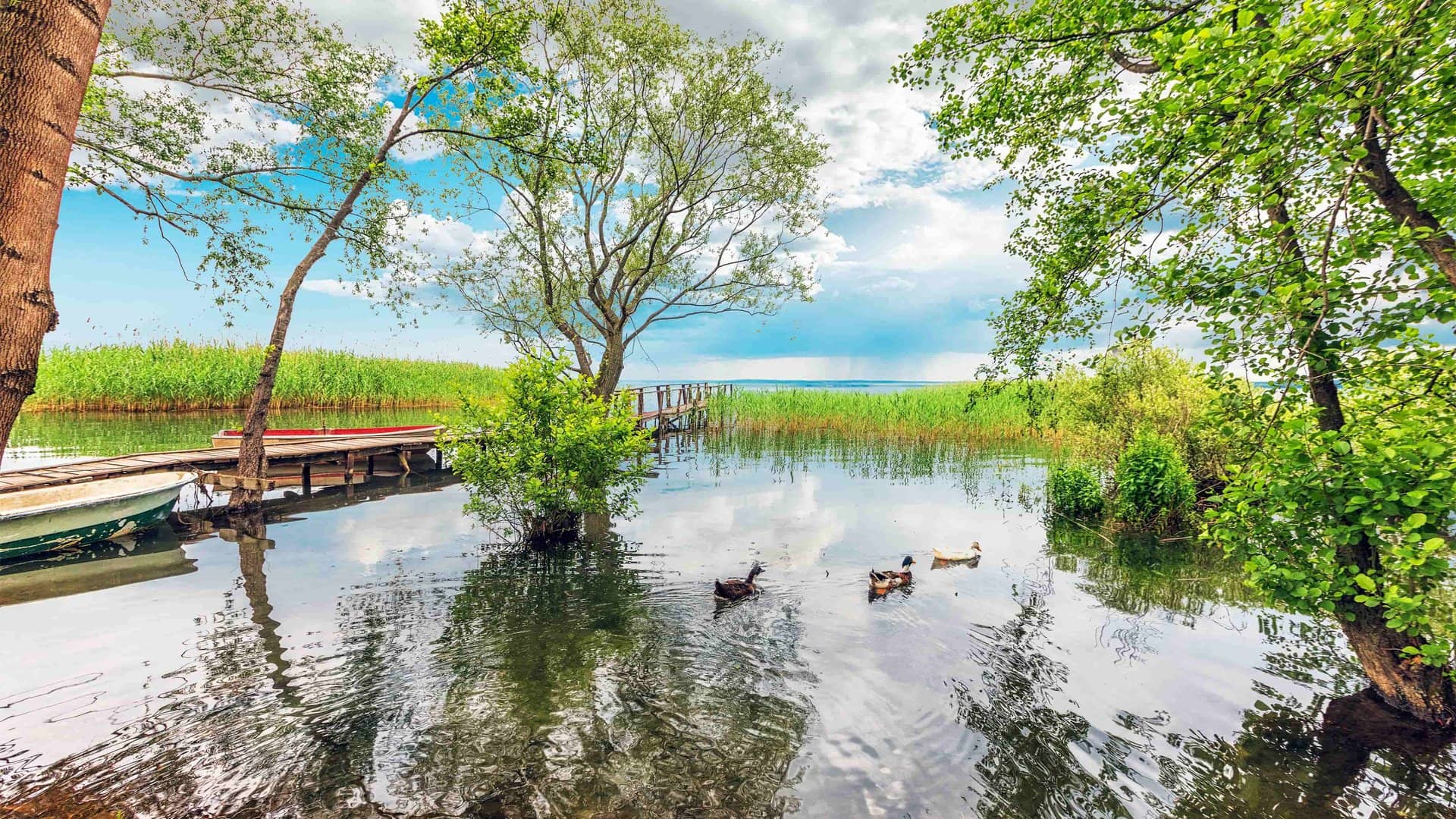 Excursion Nature d'une Journée Complète à Sapanca & Masukiye depuis Istanbul