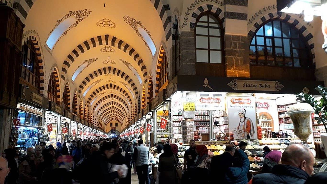Tour di Un Giorno a Istanbul: Crociera sul Bosforo, Palazzi e Due Continenti