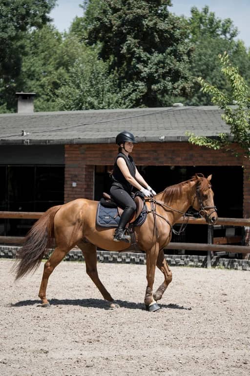 Güneş Equestrian Club Стамбул | Опыт верховой езды - 6