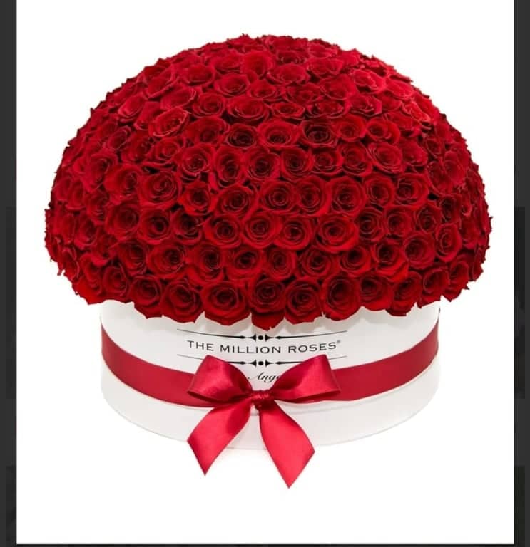 201 Ρόδες Κουτί | Παράδοση την ίδια μέρα