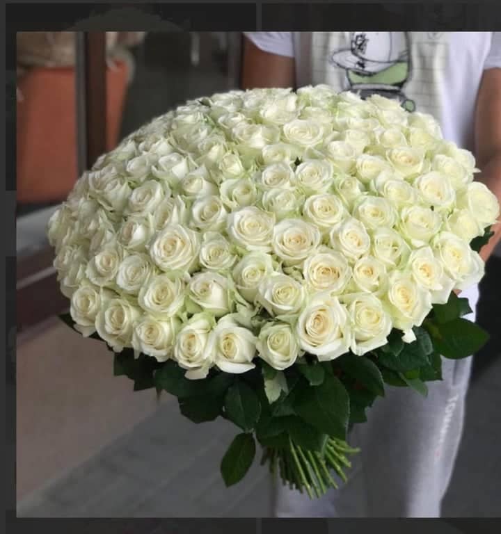 101 Λευκά Τριαντάφυλλα σε Κουτί – Φρέσκα Λουλούδια Παράδοση την Ίδια Μέρα