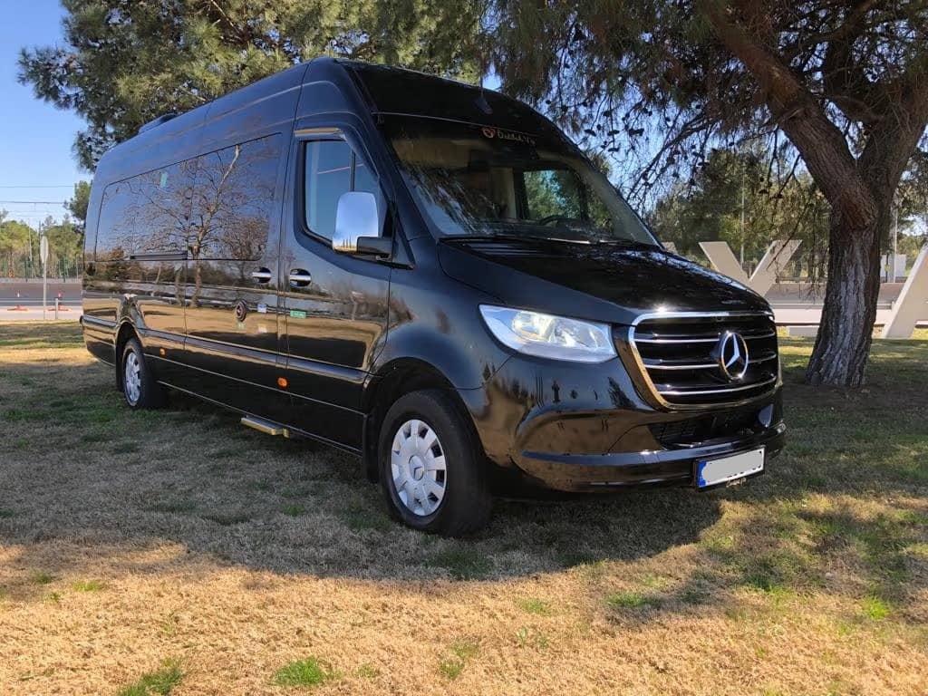 安塔利亚梅赛德斯·斯普林特私人机场接送