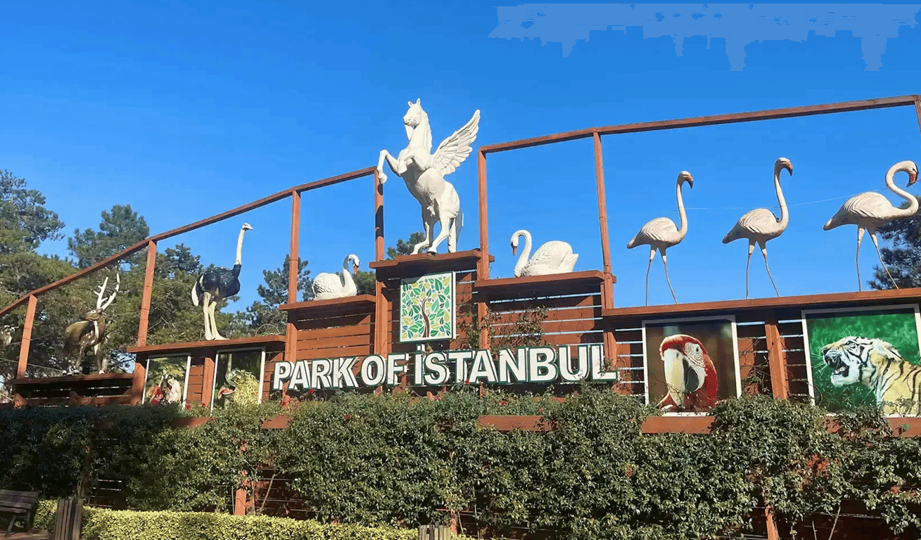 Şile and Ağva Guided Tour