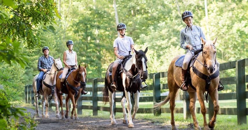 Antalya Horse Safari Experience