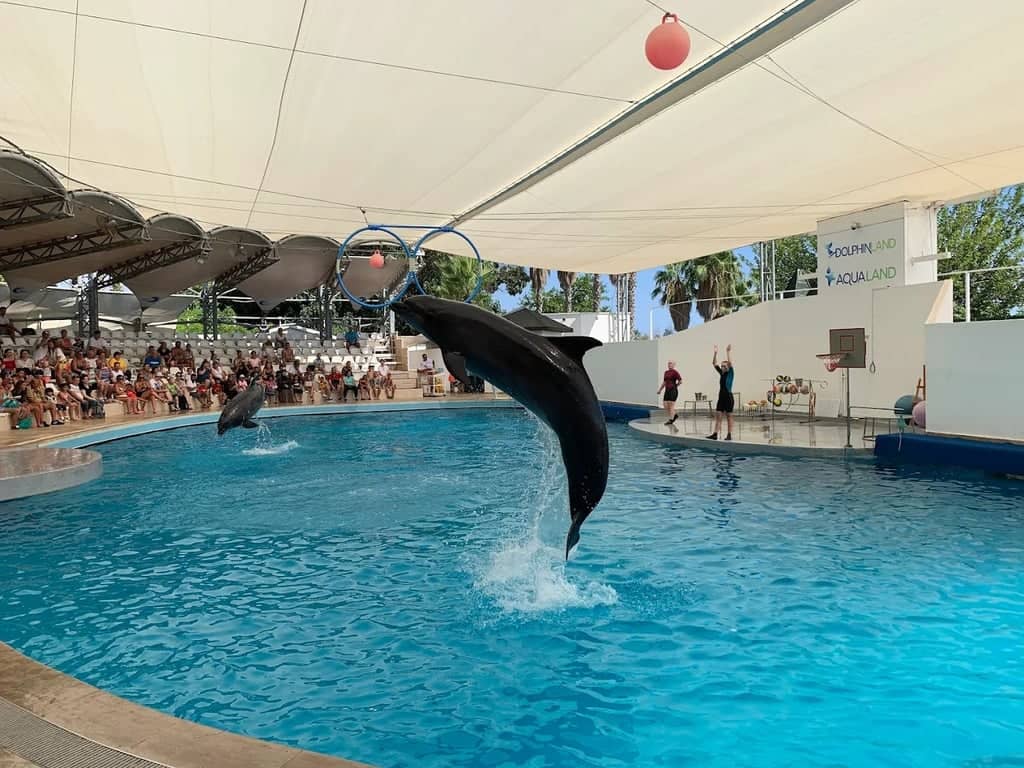 Waterhill Aquapark – Diversão em Família com Escorregadores Aquáticos e Shows de Golfinhos - 9