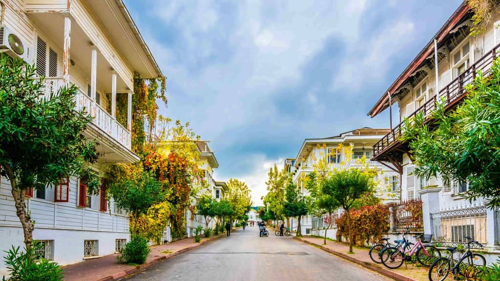 Excursion aux îles des Princes depuis Istanbul : excursion en ferry d'une journée avec déjeuner