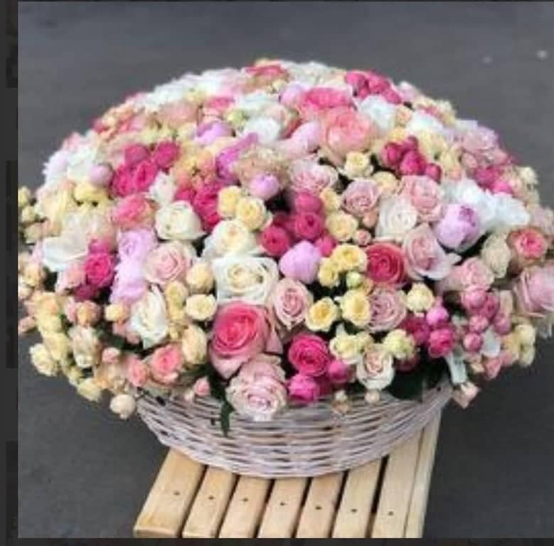 Καλάθι με Ρόδες – Φρέσκιες Ρόδες Παραδιδόμενες την Ίδια Ημέρα