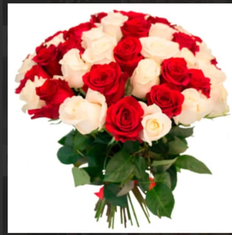 ボックス入り51本のバラ | 当日配達