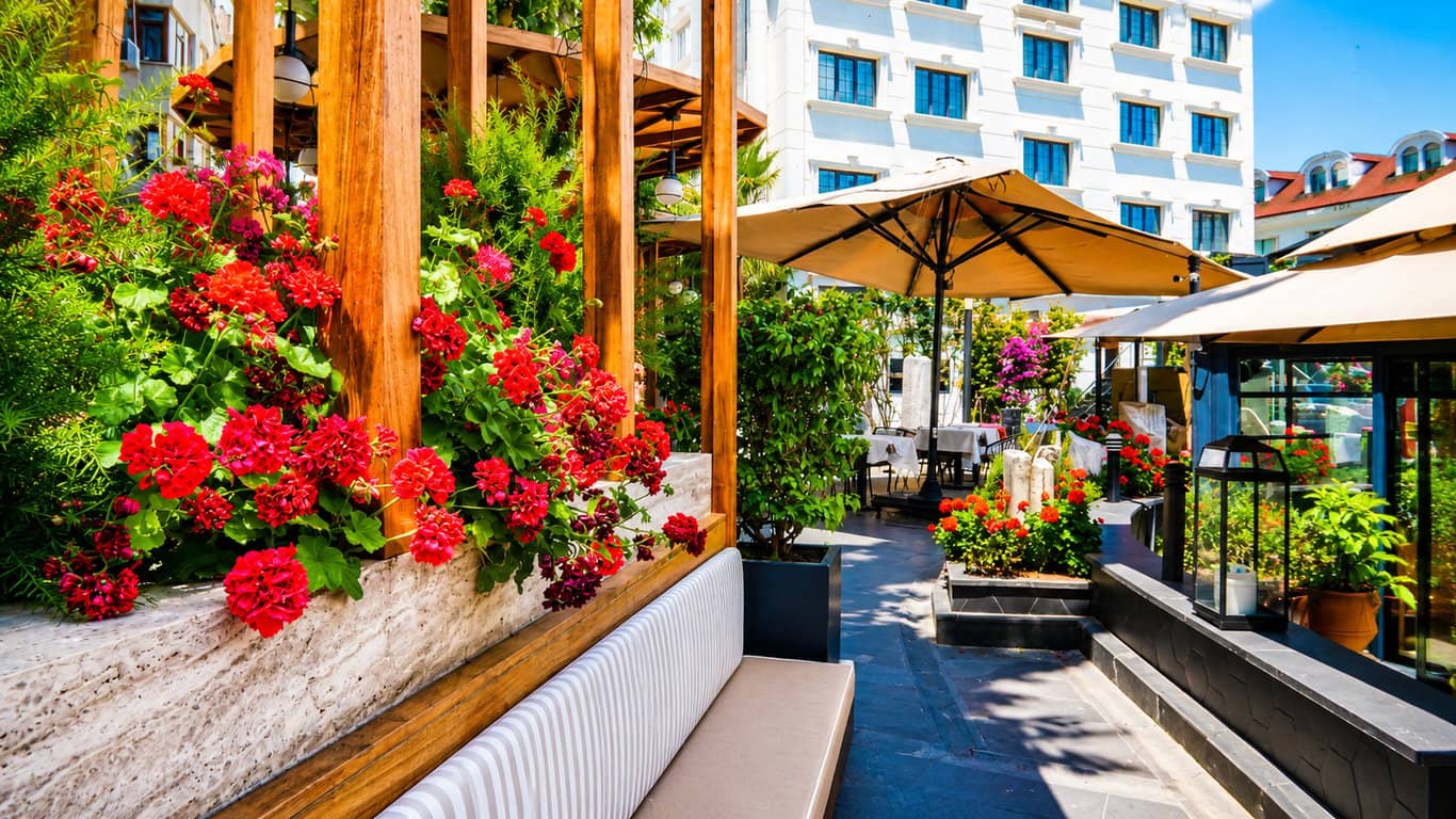 Nuz Restaurant | Sultanahmet Garden Dining Experience - 4