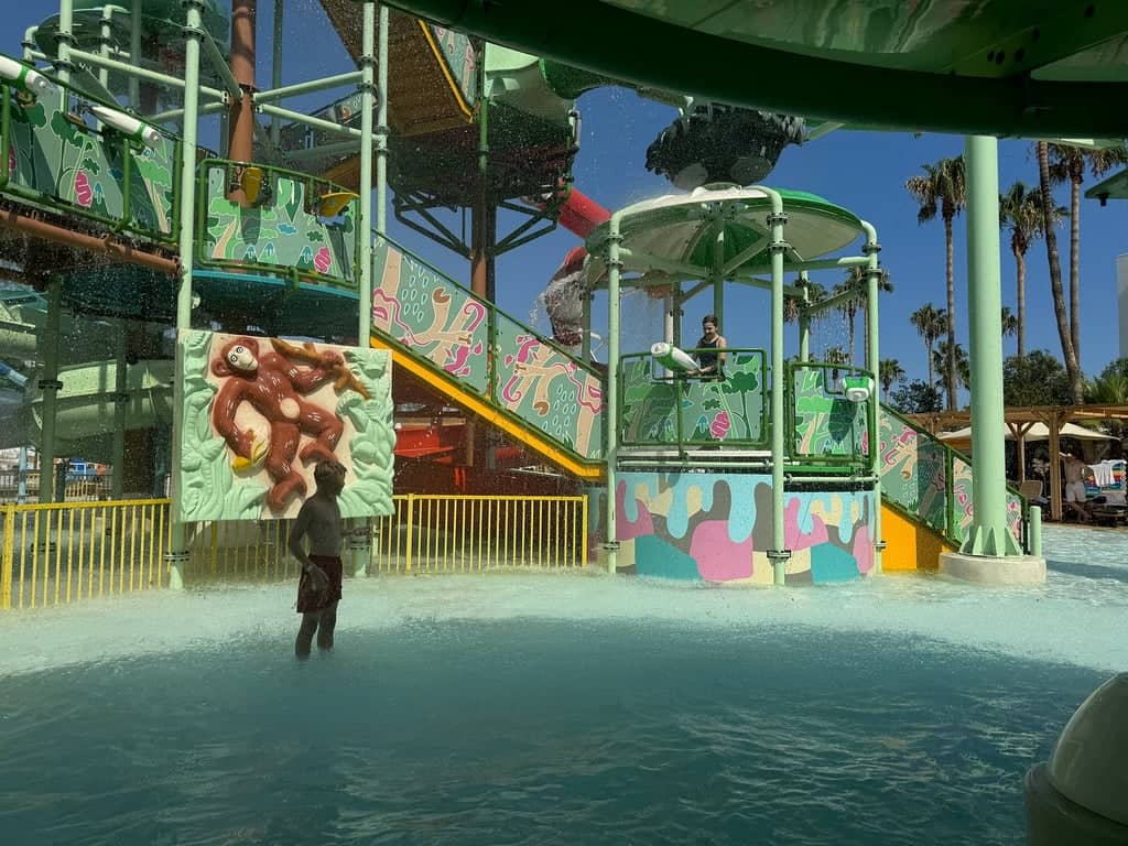 Waterhill Aquapark – Diversão em Família com Escorregadores Aquáticos e Shows de Golfinhos - 6