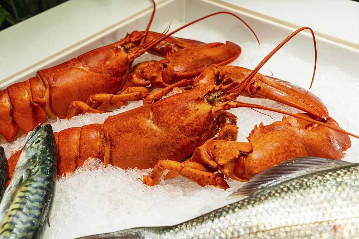 Restaurante de Mariscos Adella | Comidas con vistas al Bósforo en Estambul - 6