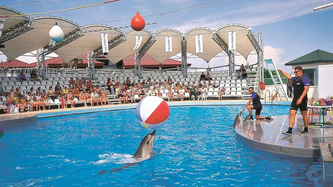 Waterhill Aquapark – Diversão em Família com Escorregadores Aquáticos e Shows de Golfinhos - 10
