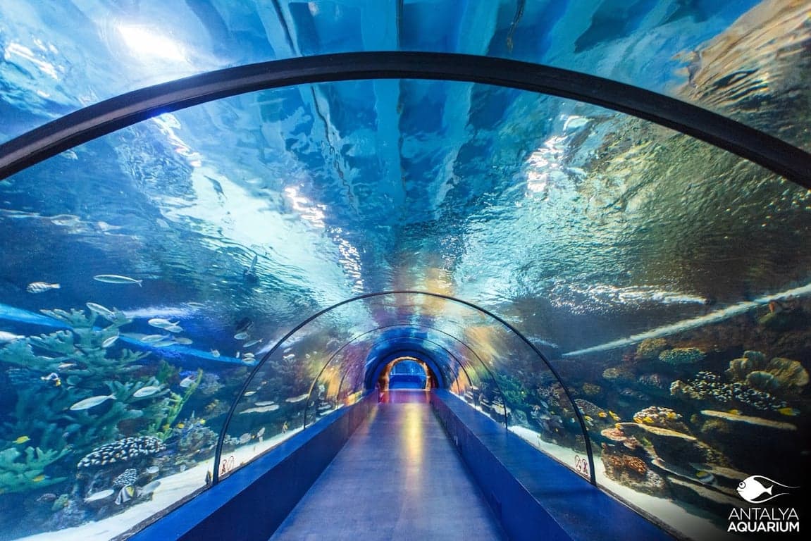 Antalya Aquarium + Full Plus Paket – Familientag mit Wildtieren und Schnee