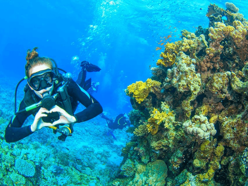 Familiedag Uit in Makadi Bay — Dolfijnen Show, Bedoeïenen Lunch, Kameelrit & Semi-Onderzeeër met Snorkelen