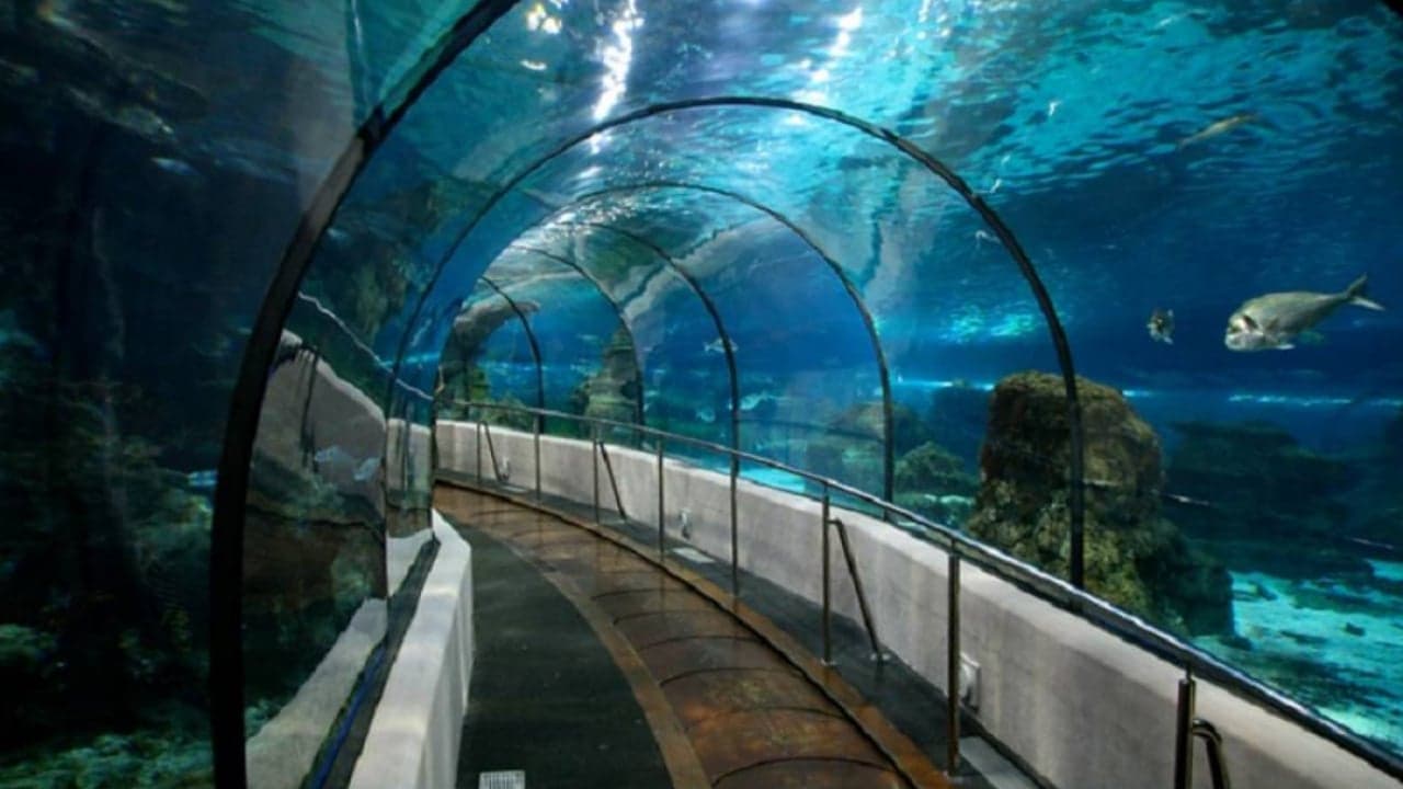 シャトルサービス付きイスタンブール水族館のチケット