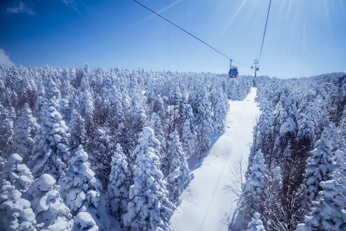 每日布尔萨和乌卢达山之旅：从伊斯坦布尔出发的一日游