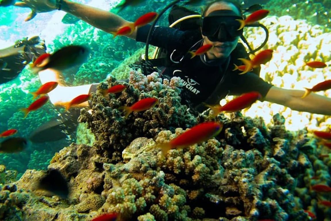 Escursione in Barca sull'Isola di Tiran da Sharm – Snorkeling & Barriere Coralline