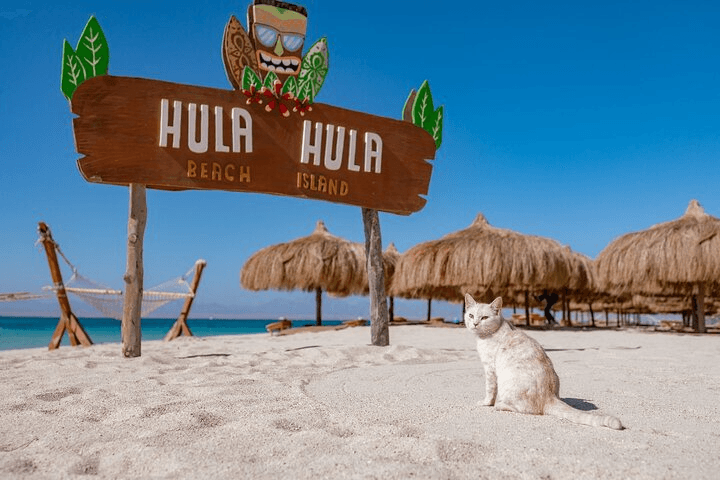 Hula Hula Island Beach Elite Luxe Boottocht vanuit Hurghada