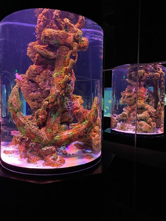 Antalya Aquarium + Full Plus Paket – Familientag mit Wildtieren und Schnee