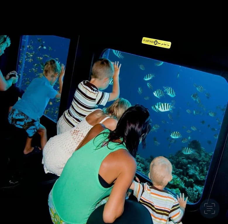 Tour Sea Scope Royal a Sharm El Sheikh – Scopri le Barriere Coralline e la Vita Marina Colorata