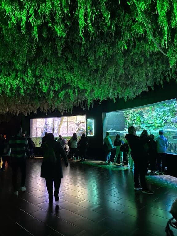 Antalya Aquarium + Full Plus Paket – Familientag mit Wildtieren und Schnee