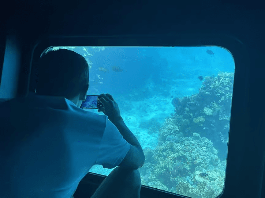 海洋视野皇家：胡尔格达的半潜艇珊瑚礁游览