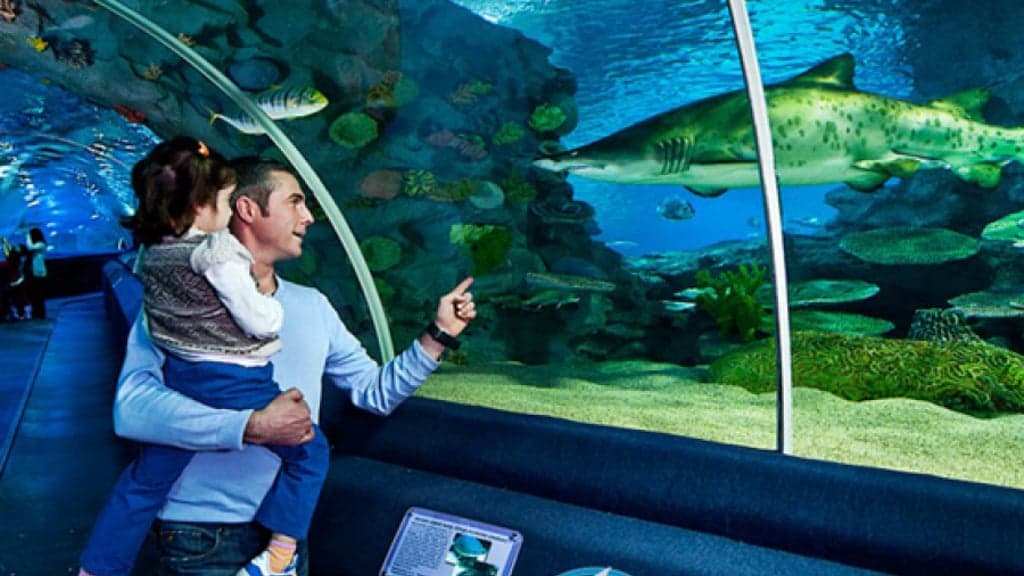 シャトルサービス付きイスタンブール水族館のチケット