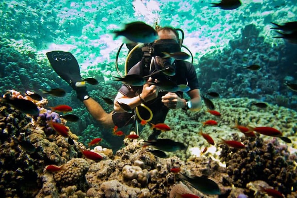 Escursione in Barca sull'Isola di Tiran da Sharm – Snorkeling & Barriere Coralline