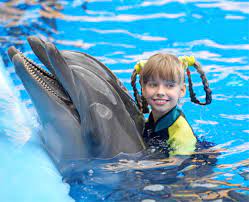 Dolphin & Seal Show in Antalya – Fun for Families with Marine Animals