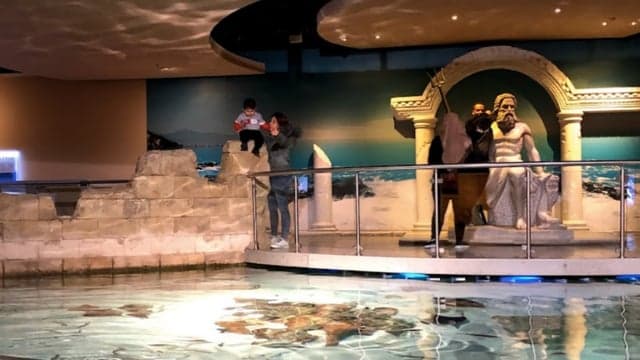 シャトルサービス付きイスタンブール水族館のチケット