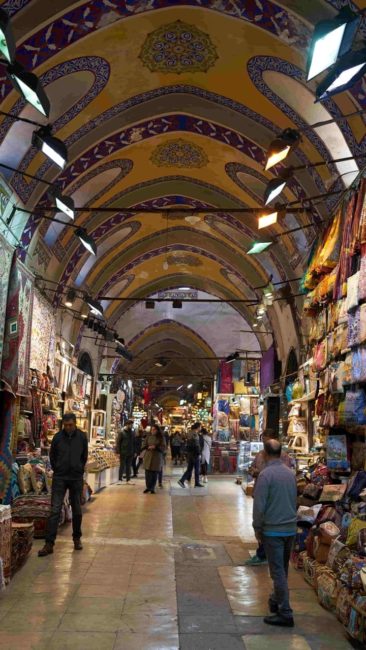 Cruzeiro Privado no Bósforo em Istambul: Tour de Meia Dia pela Manhã